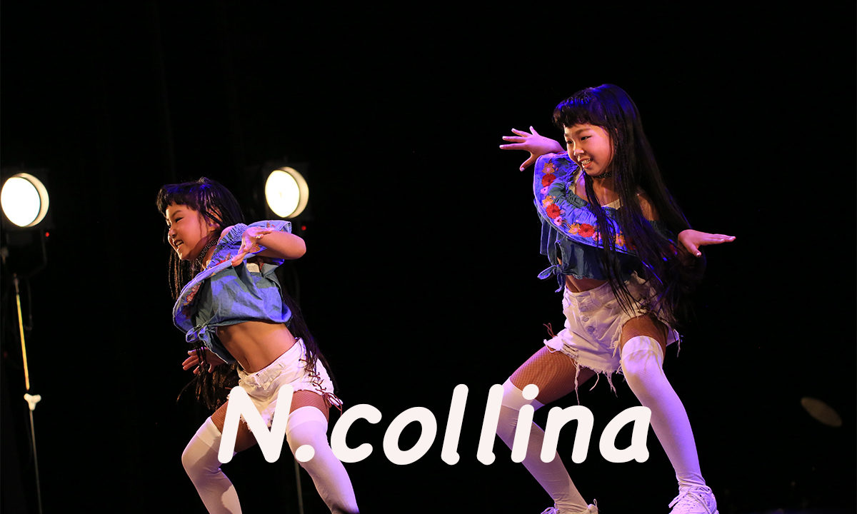 【 N.collina 】山口県は宇部市のダンスのチーム！ネバーギブアップダンスコンテスト出場チーム紹介。
